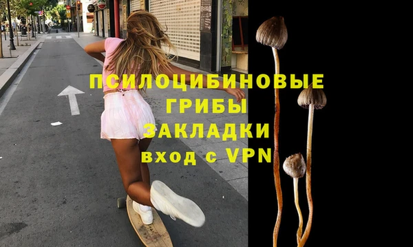 2c-b Бронницы