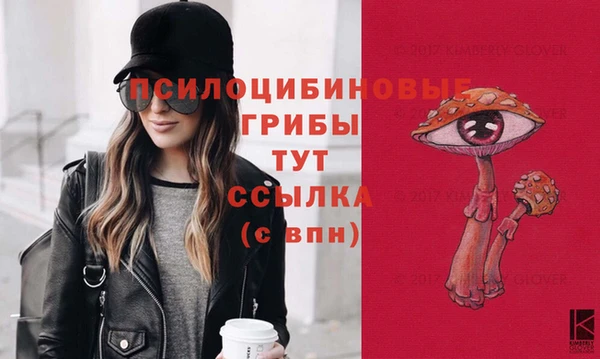 apvp Волосово