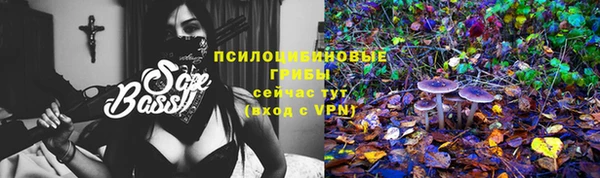 хмурый Волоколамск