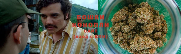 apvp Вяземский